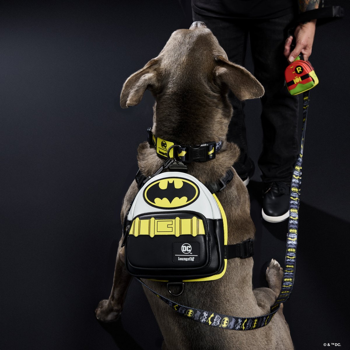 DC Comics Batman??? 85th Anniversary Mini Backpack Dog Harness - Figurine Pet Accessories DC Comics - vue 2