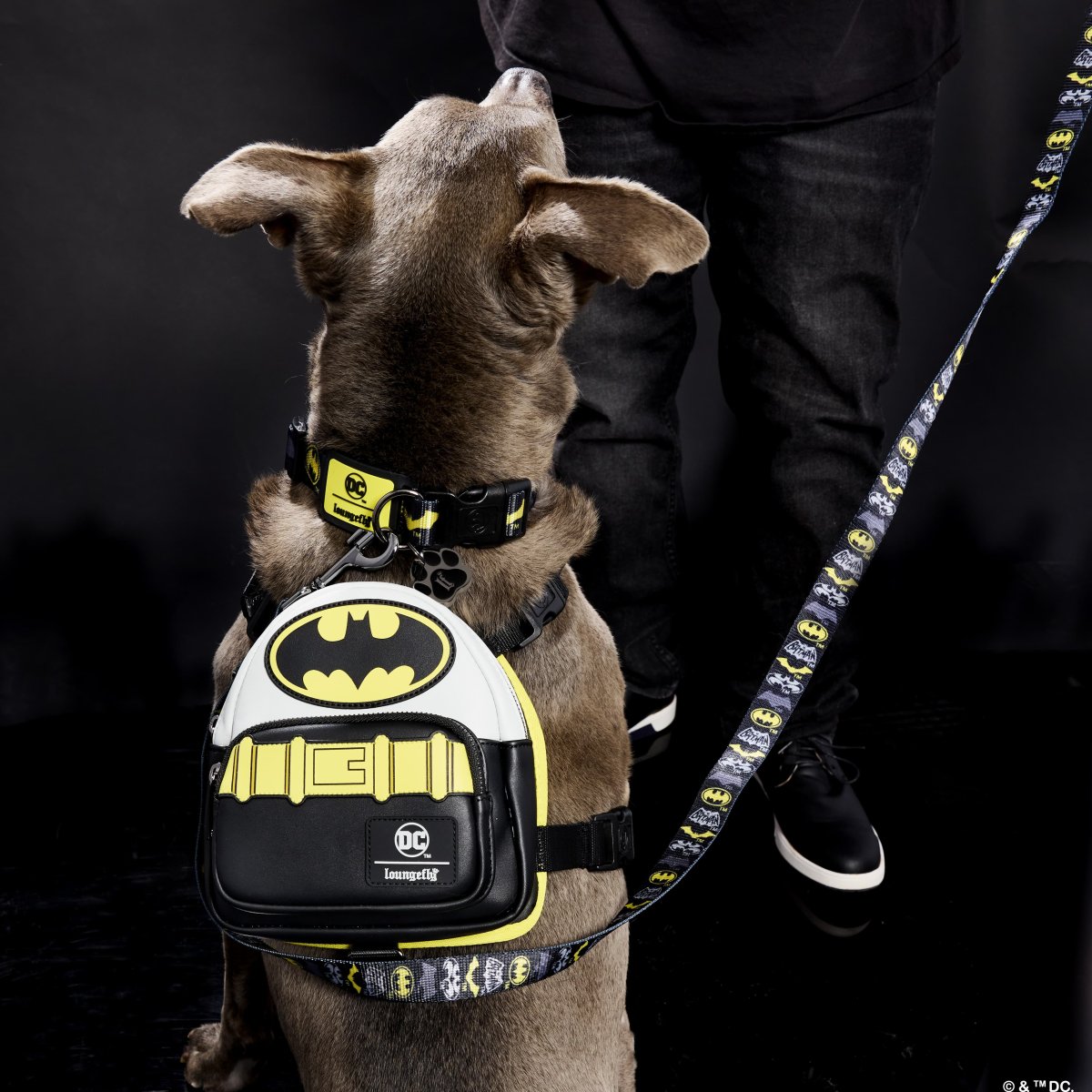 DC Comics Batman??? 85th Anniversary Leash - Figurine Pet Accessories DC Comics - vue 2