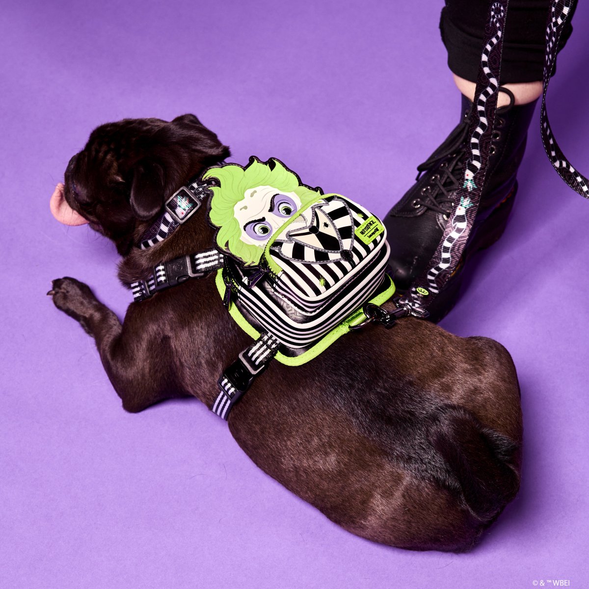 Beetlejuice Cosplay Mini Backpack Dog Harness - Figurine Pet Accessories Beetlejuice - vue 2