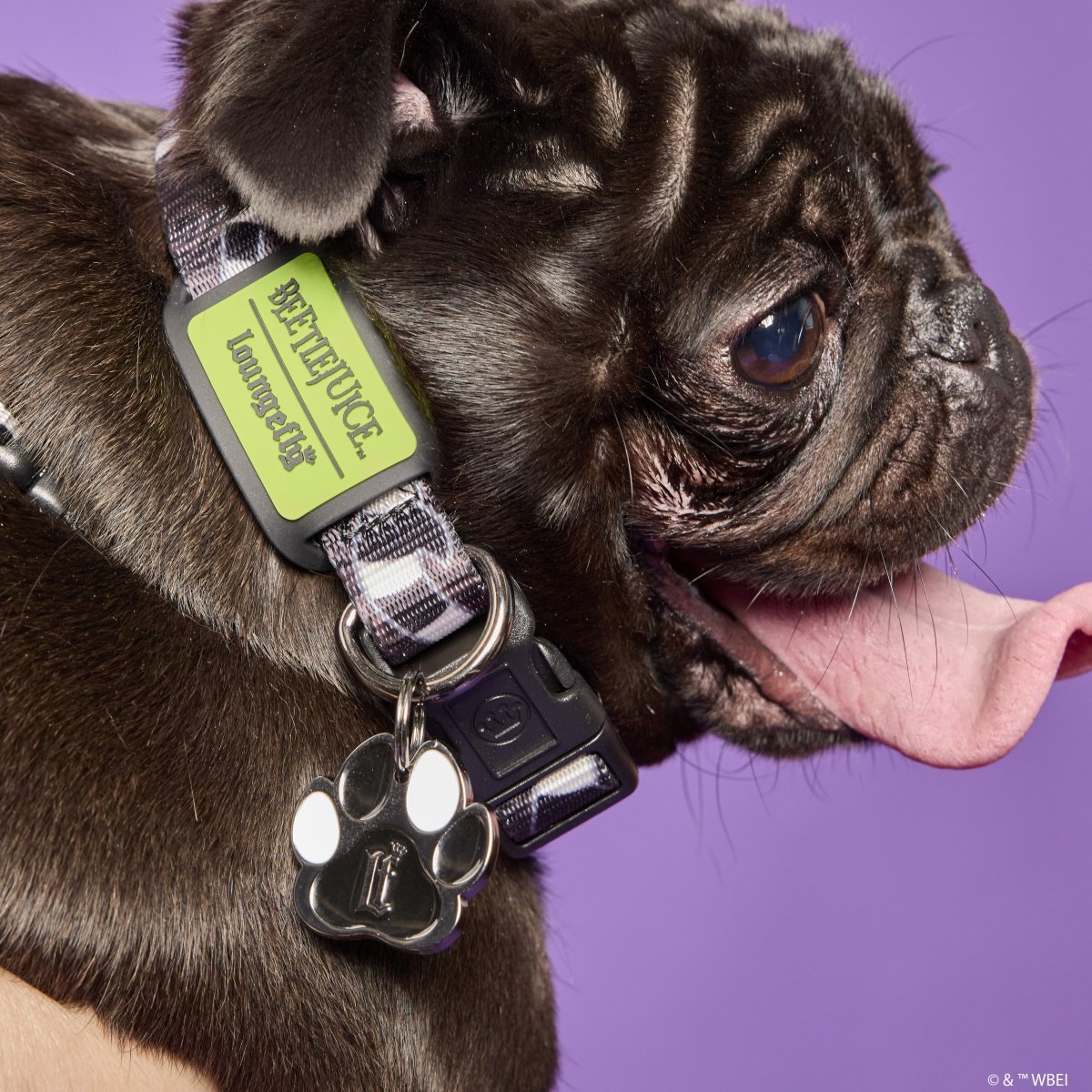Beetlejuice Sandworm Dog Collar - Figurine Pet Accessories Beetlejuice - vue 2