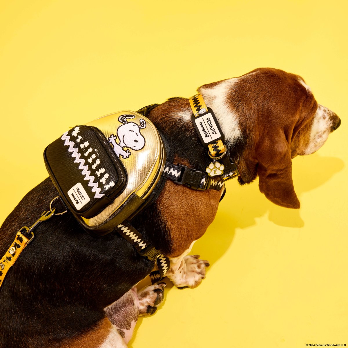 Peanuts 75th Anniversary Snoopy Dog Collar - Figurine Pet Accessories Peanuts - vue 2