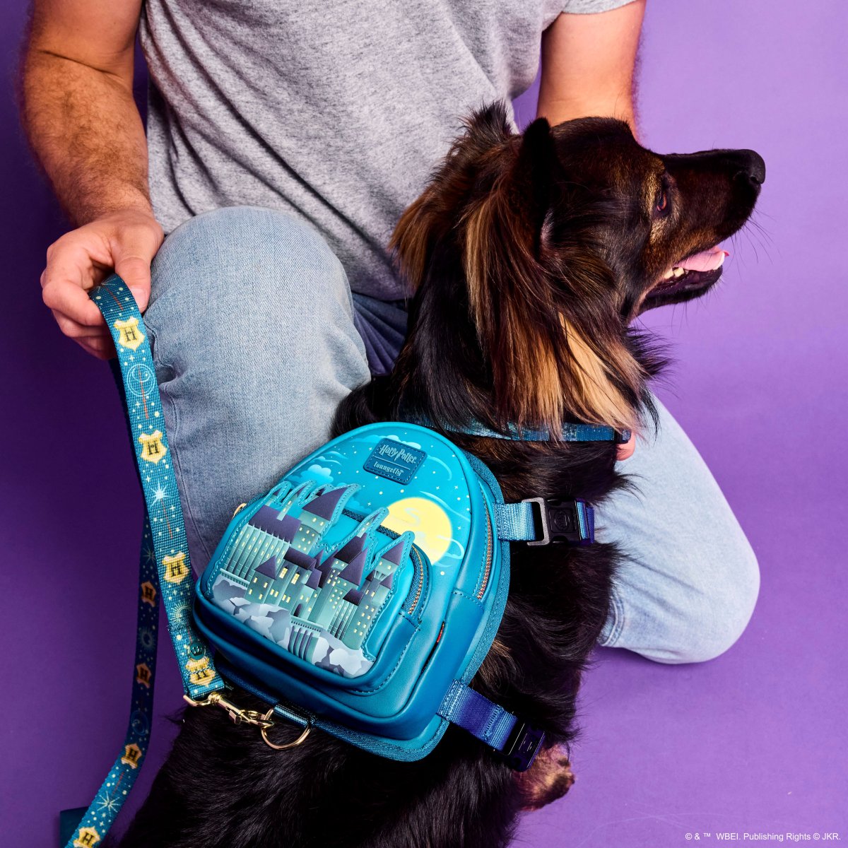 Harry Potter Hogwarts Castle Glow Mini Backpack Dog Harness - Figurine Pet Accessories Harry Potter - vue 2